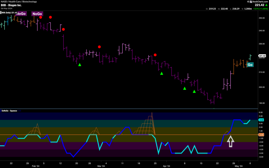 $BIIB Flags New 